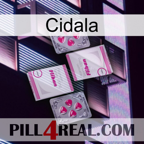 Cidala 33.jpg